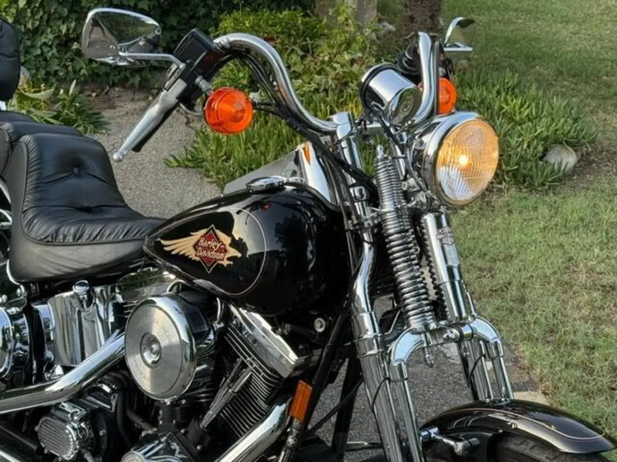 Harley-Davidson 1340 Springer (1990 - 98) - FXSTS (6)