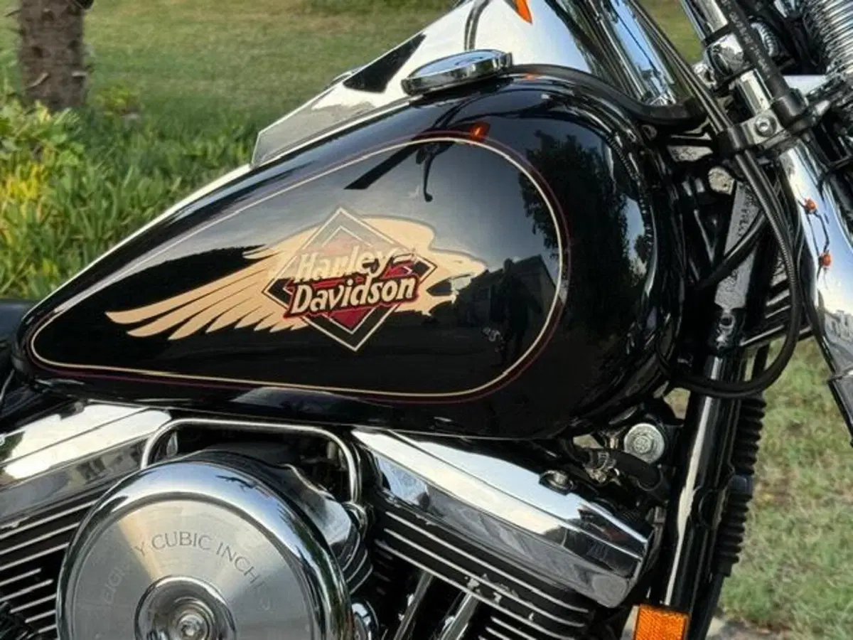 Harley-Davidson 1340 Springer (1990 - 98) - FXSTS (7)