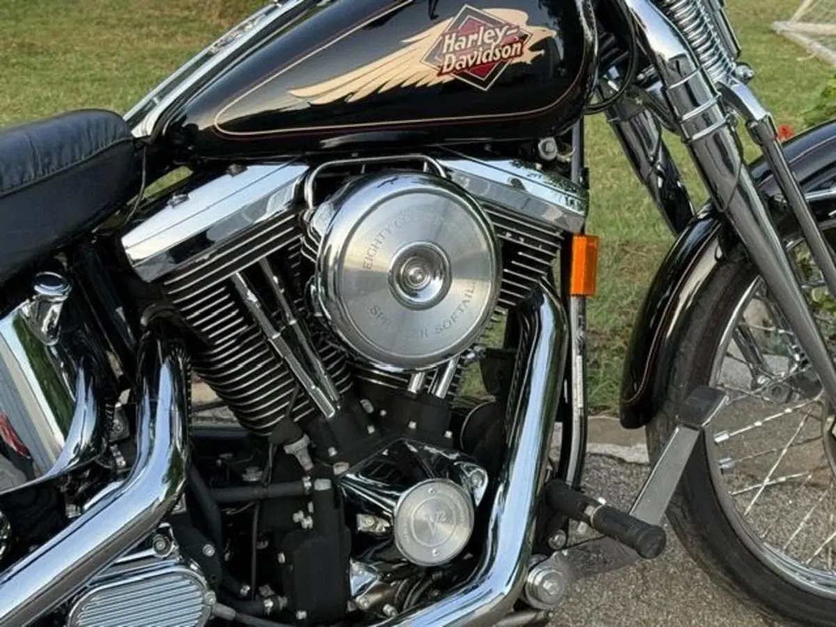 Harley-Davidson 1340 Springer (1990 - 98) - FXSTS (8)