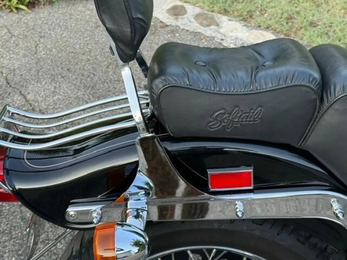 Harley-Davidson 1340 Springer (1990 - 98) - FXSTS (10)