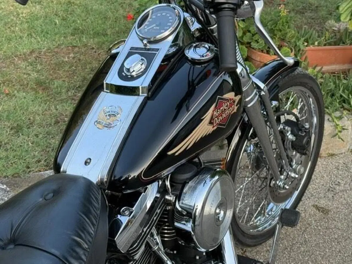 Harley-Davidson 1340 Springer (1990 - 98) - FXSTS (11)