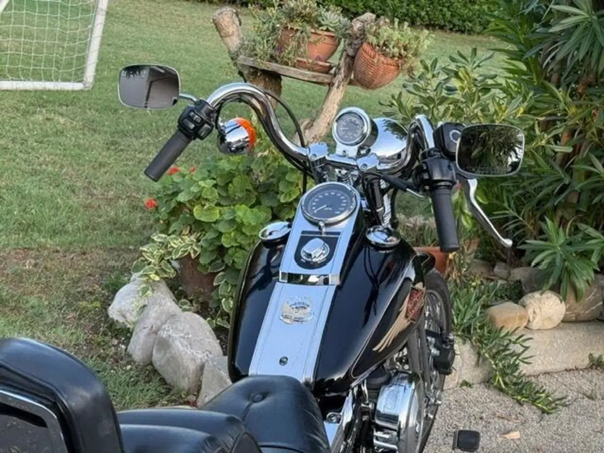 Harley-Davidson 1340 Springer (1990 - 98) - FXSTS (12)