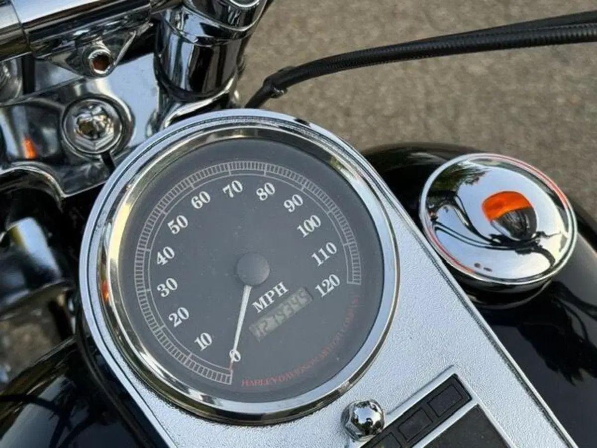 Harley-Davidson 1340 Springer (1990 - 98) - FXSTS (13)