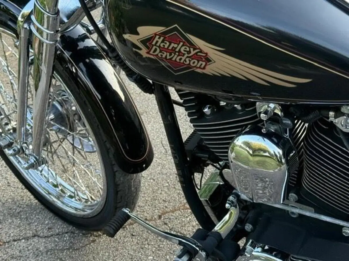 Harley-Davidson 1340 Springer (1990 - 98) - FXSTS (14)