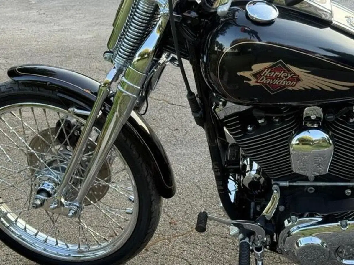 Harley-Davidson 1340 Springer (1990 - 98) - FXSTS (17)