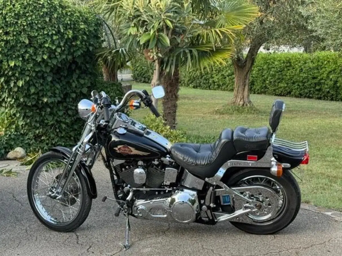 Harley-Davidson 1340 Springer (1990 - 98) - FXSTS (18)