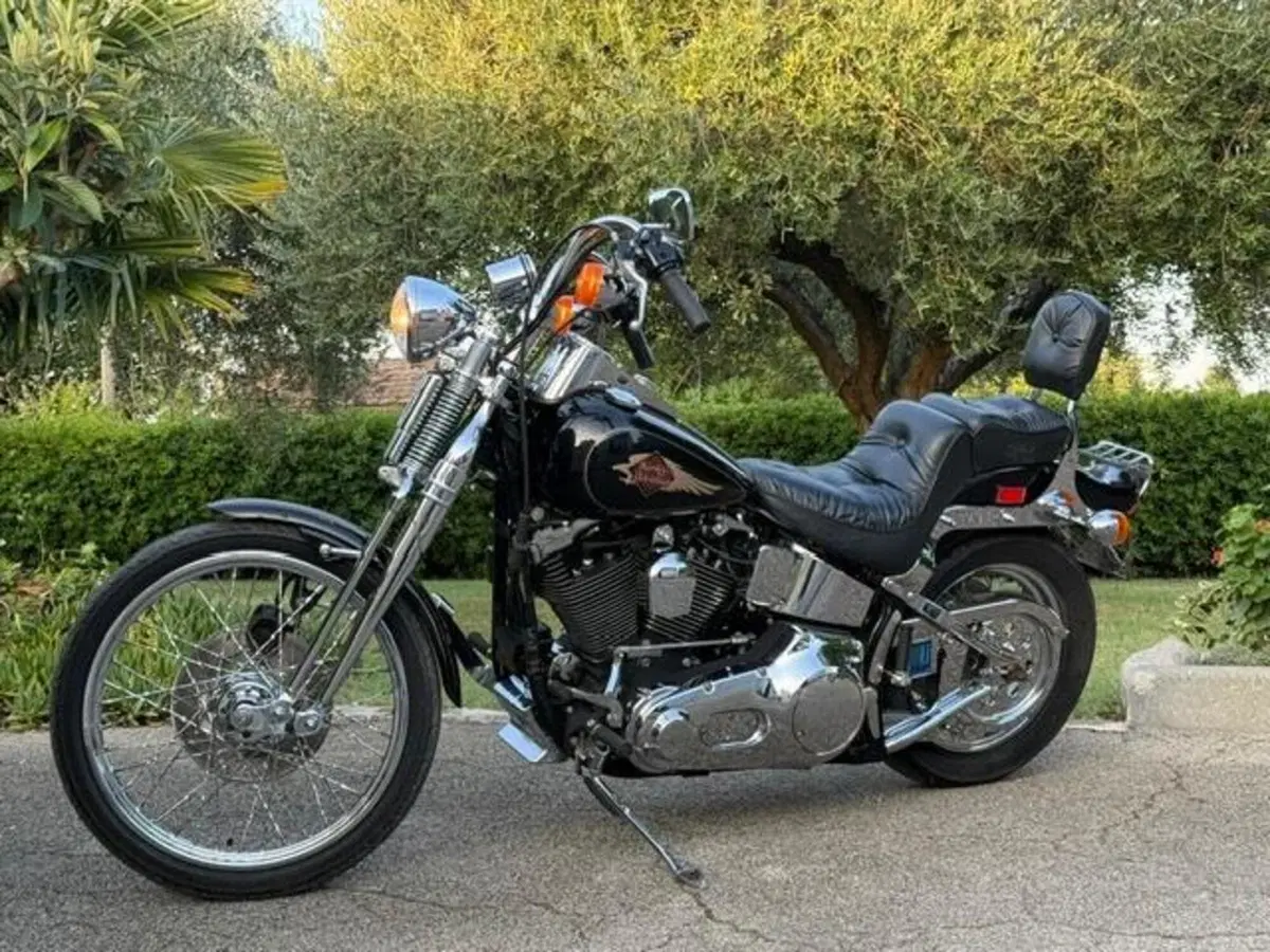 Harley-Davidson 1340 Springer (1990 - 98) - FXSTS (19)