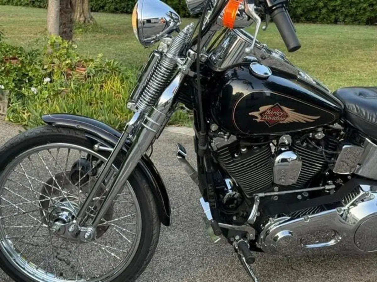 Harley-Davidson 1340 Springer (1990 - 98) - FXSTS (20)