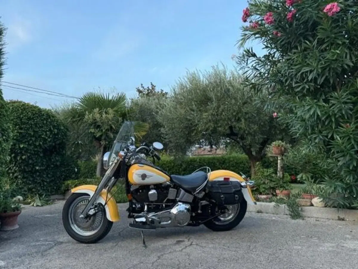 Harley-Davidson 1340 Fat Boy (1990 - 99) - FLSTF (15)
