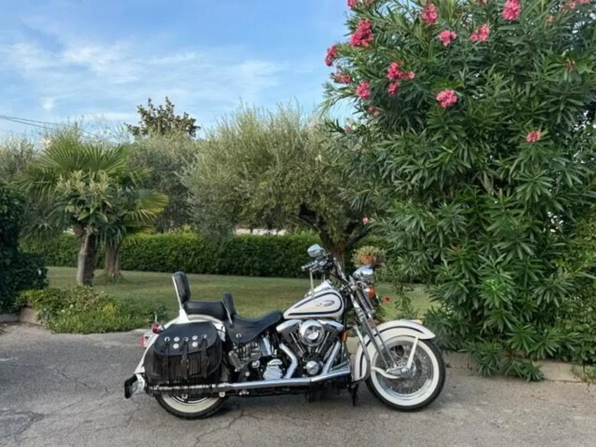 Harley-Davidson 1340 Heritage Springer (1997 - 99) - FLSTS (3)