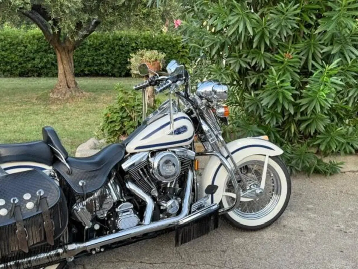 Harley-Davidson 1340 Heritage Springer (1997 - 99) - FLSTS (4)