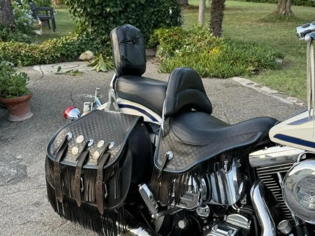Harley-Davidson 1340 Heritage Springer (1997 - 99) - FLSTS (6)
