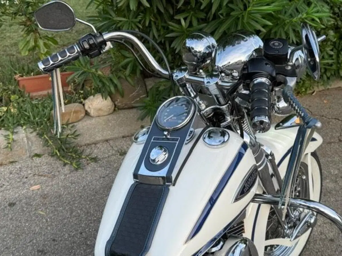 Harley-Davidson 1340 Heritage Springer (1997 - 99) - FLSTS (10)