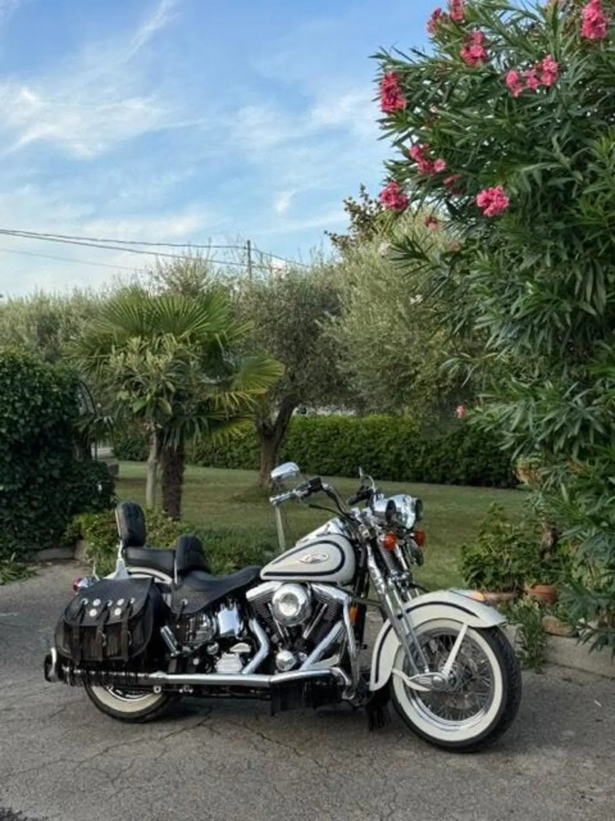 Harley-Davidson 1340 Heritage Springer (1997 - 99) - FLSTS (12)