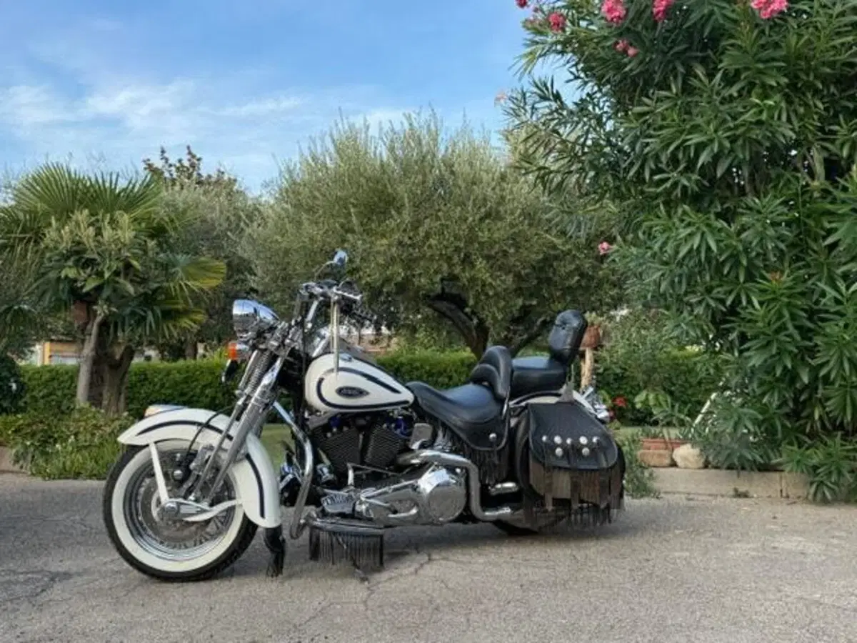 Harley-Davidson 1340 Heritage Springer (1997 - 99) - FLSTS (14)