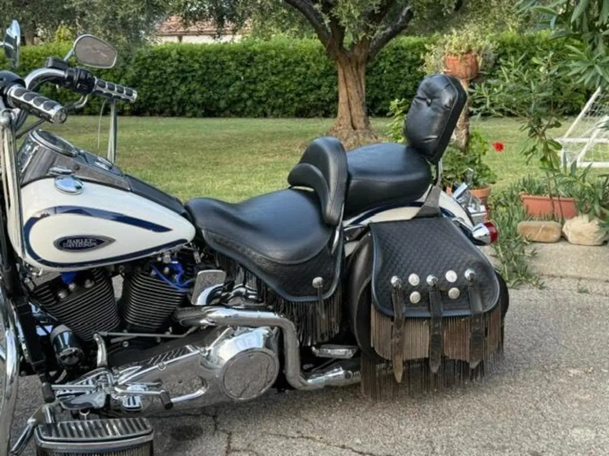 Harley-Davidson 1340 Heritage Springer (1997 - 99) - FLSTS (16)
