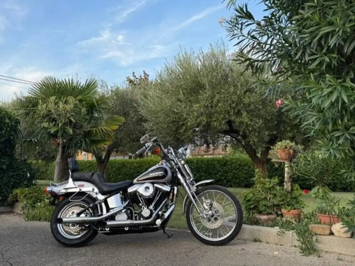 Harley-Davidson 1340 Springer (1990 - 98) - FXSTS