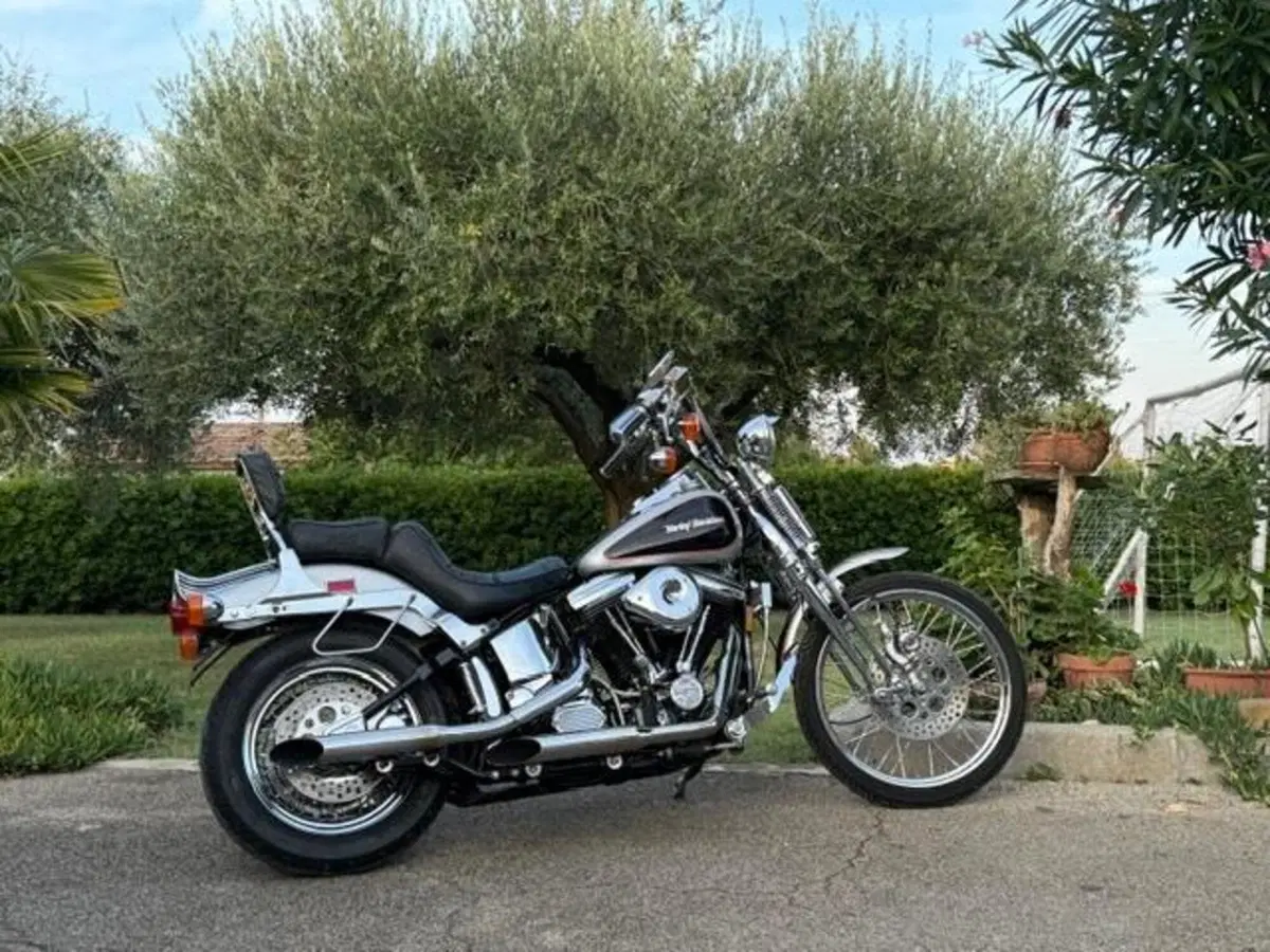 Harley-Davidson 1340 Springer (1990 - 98) - FXSTS (2)