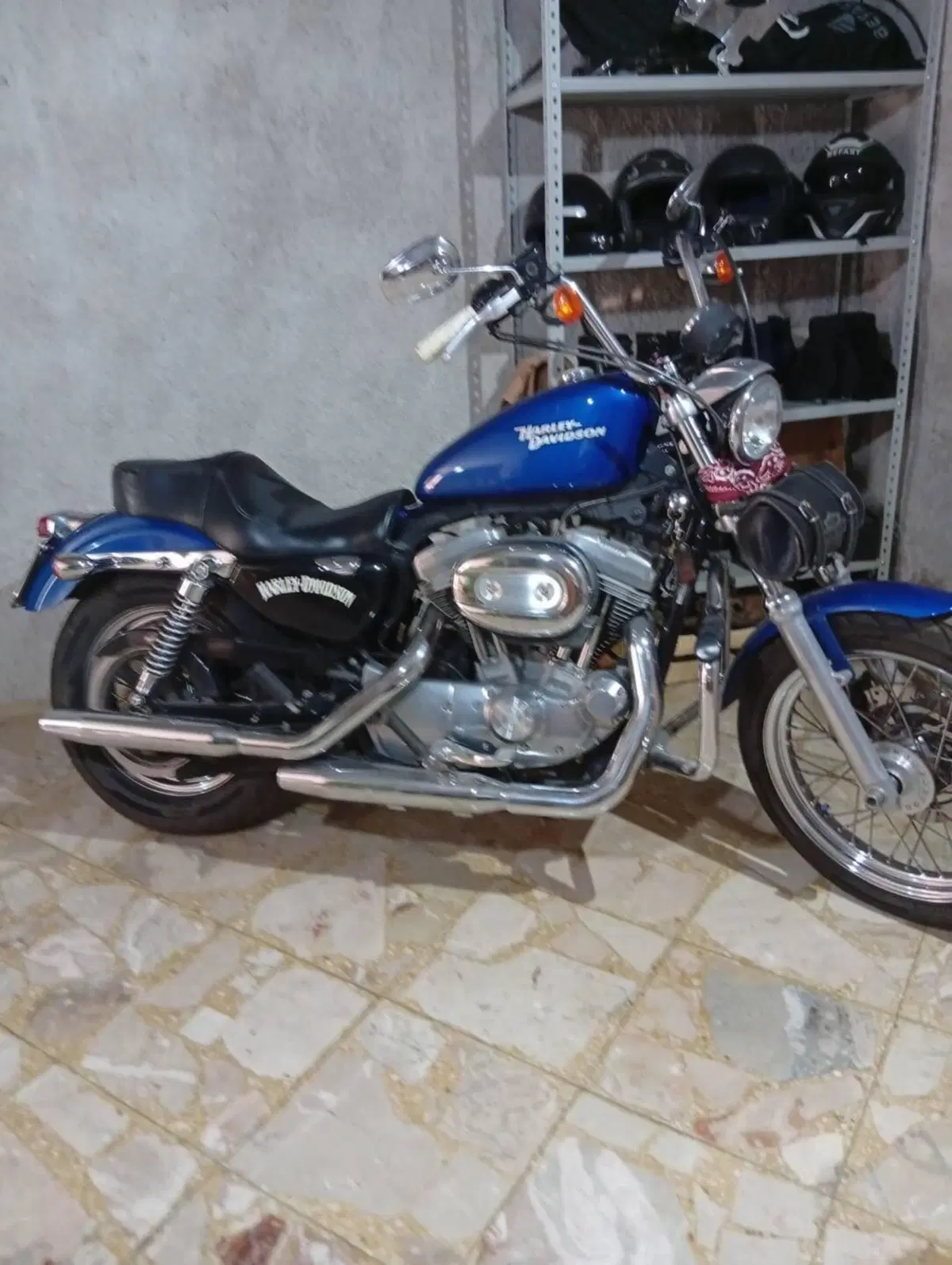 Harley-Davidson 883 Custom (2008 - 12) - XL 883C