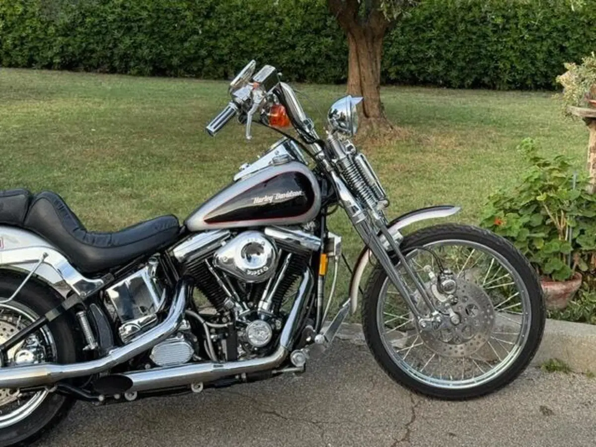 Harley-Davidson 1340 Springer (1990 - 98) - FXSTS (3)