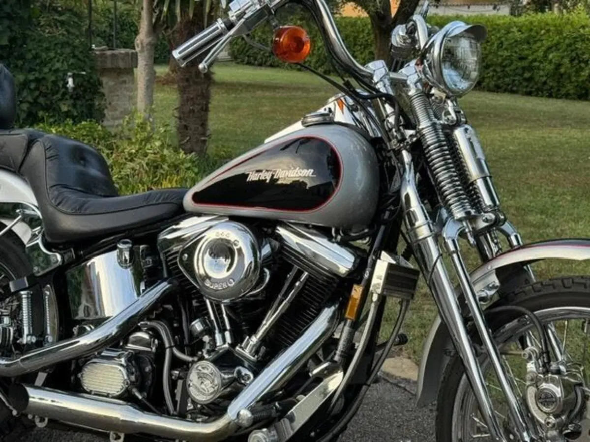 Harley-Davidson 1340 Springer (1990 - 98) - FXSTS (4)