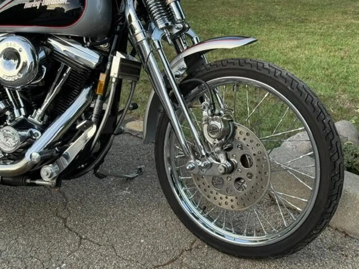 Harley-Davidson 1340 Springer (1990 - 98) - FXSTS (5)