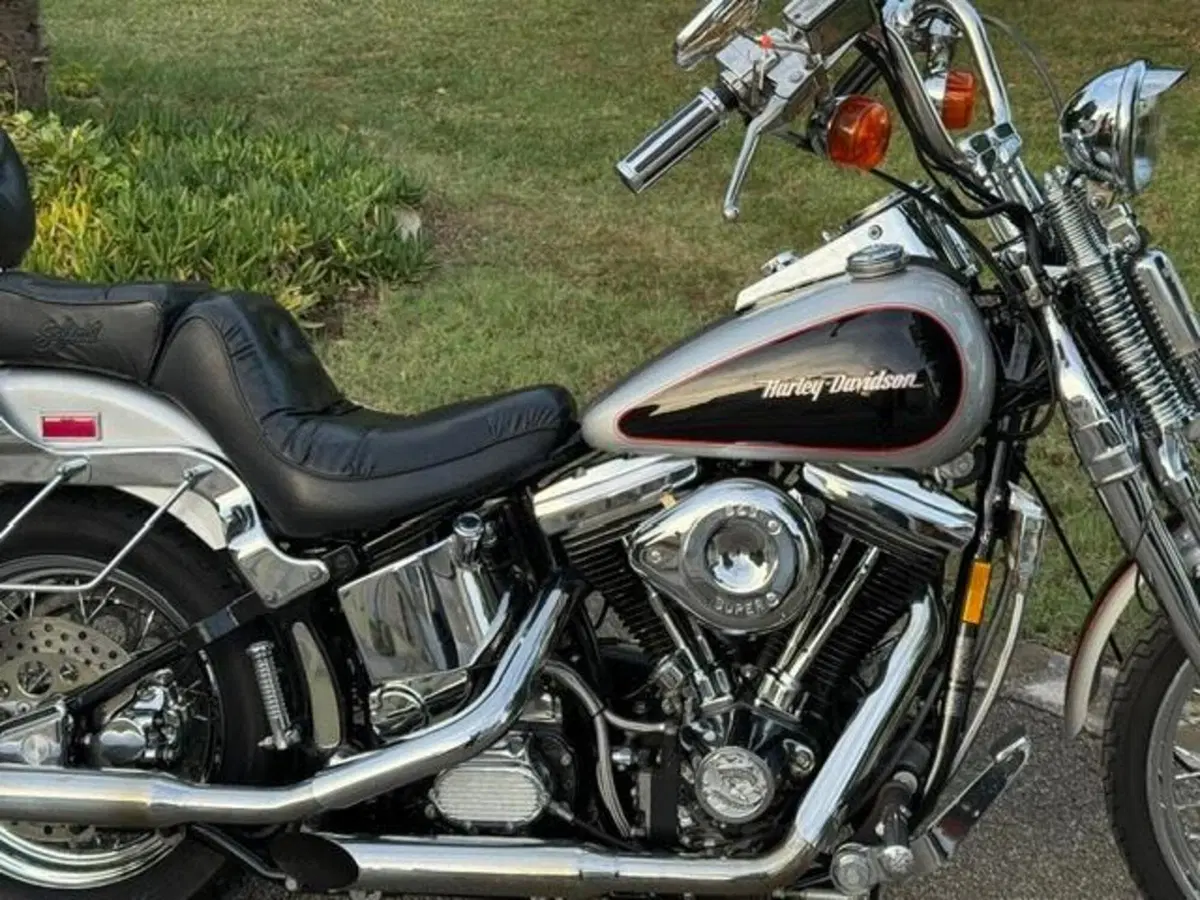 Harley-Davidson 1340 Springer (1990 - 98) - FXSTS (6)