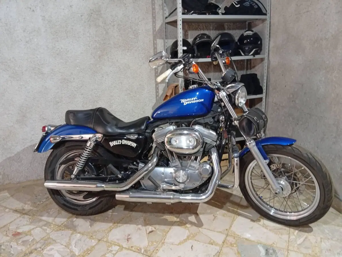 Harley-Davidson 883 Custom (2008 - 12) - XL 883C (3)