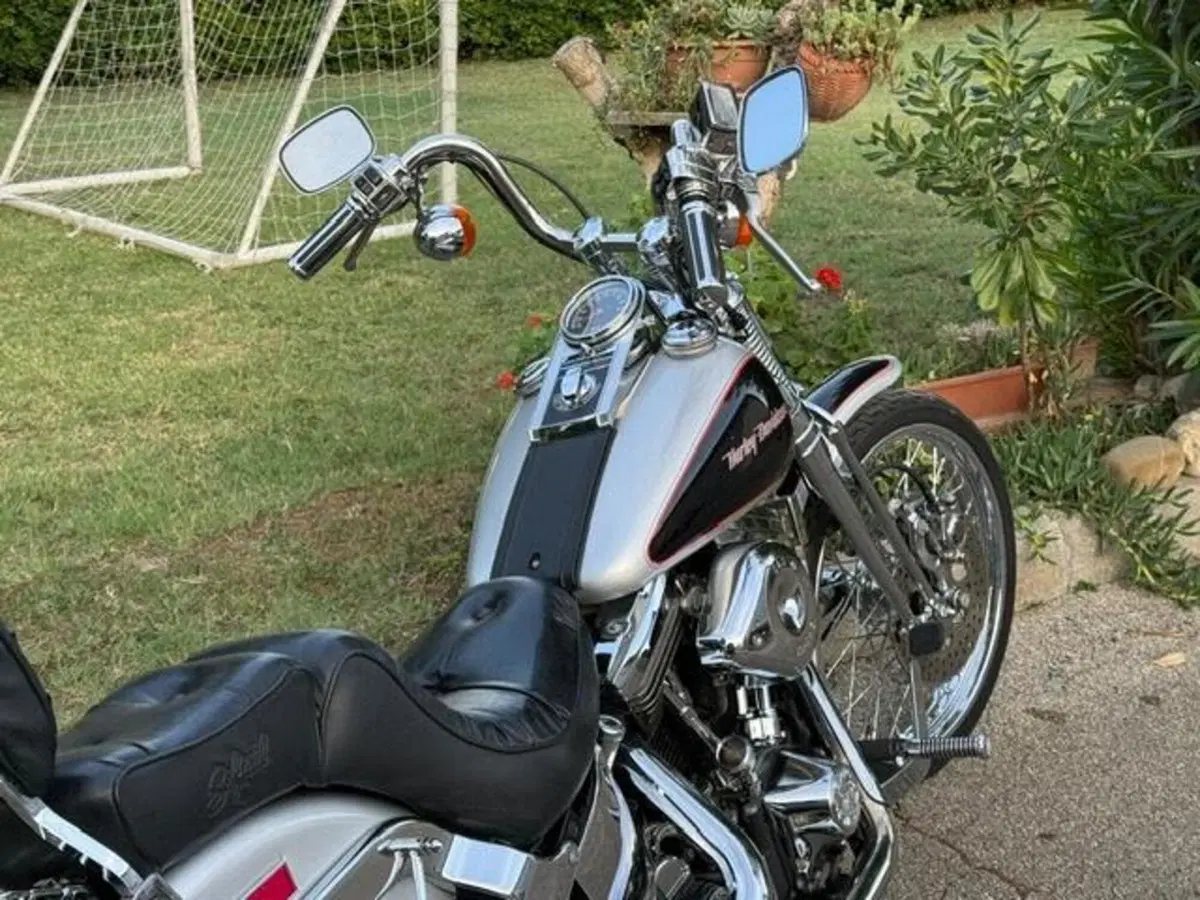 Harley-Davidson 1340 Springer (1990 - 98) - FXSTS (10)