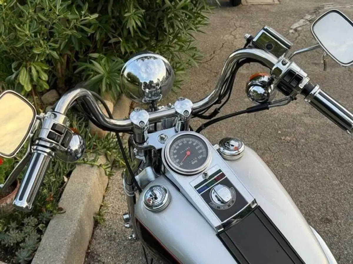 Harley-Davidson 1340 Springer (1990 - 98) - FXSTS (11)