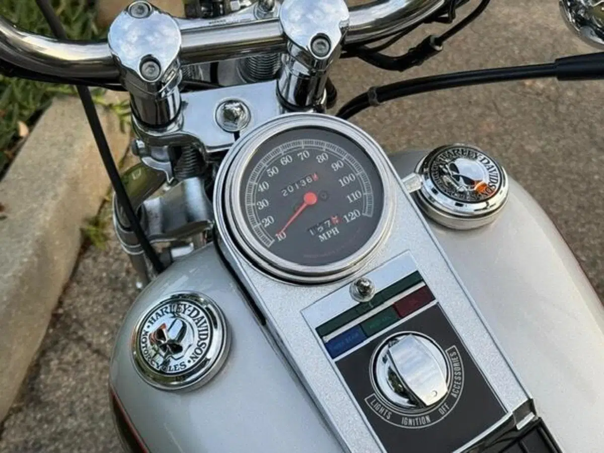Harley-Davidson 1340 Springer (1990 - 98) - FXSTS (12)