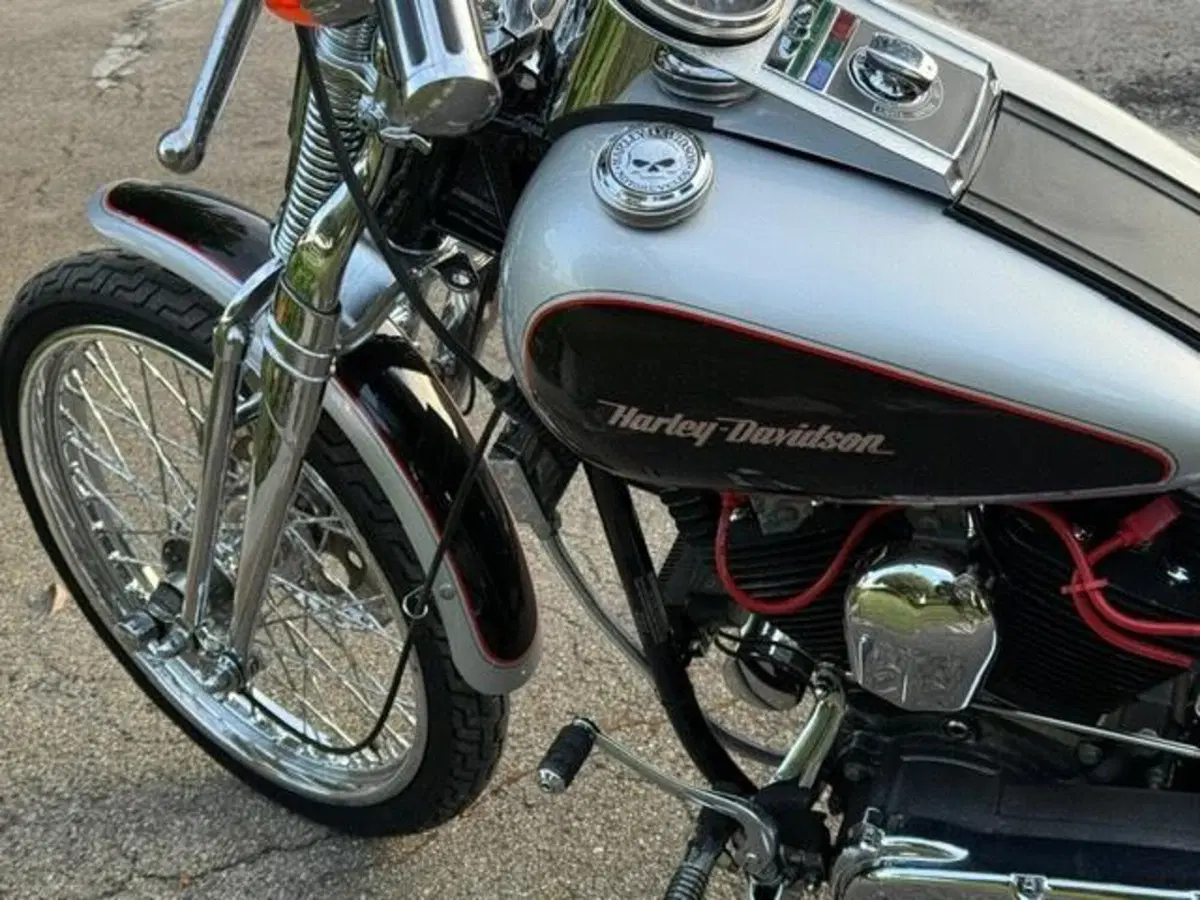 Harley-Davidson 1340 Springer (1990 - 98) - FXSTS (13)