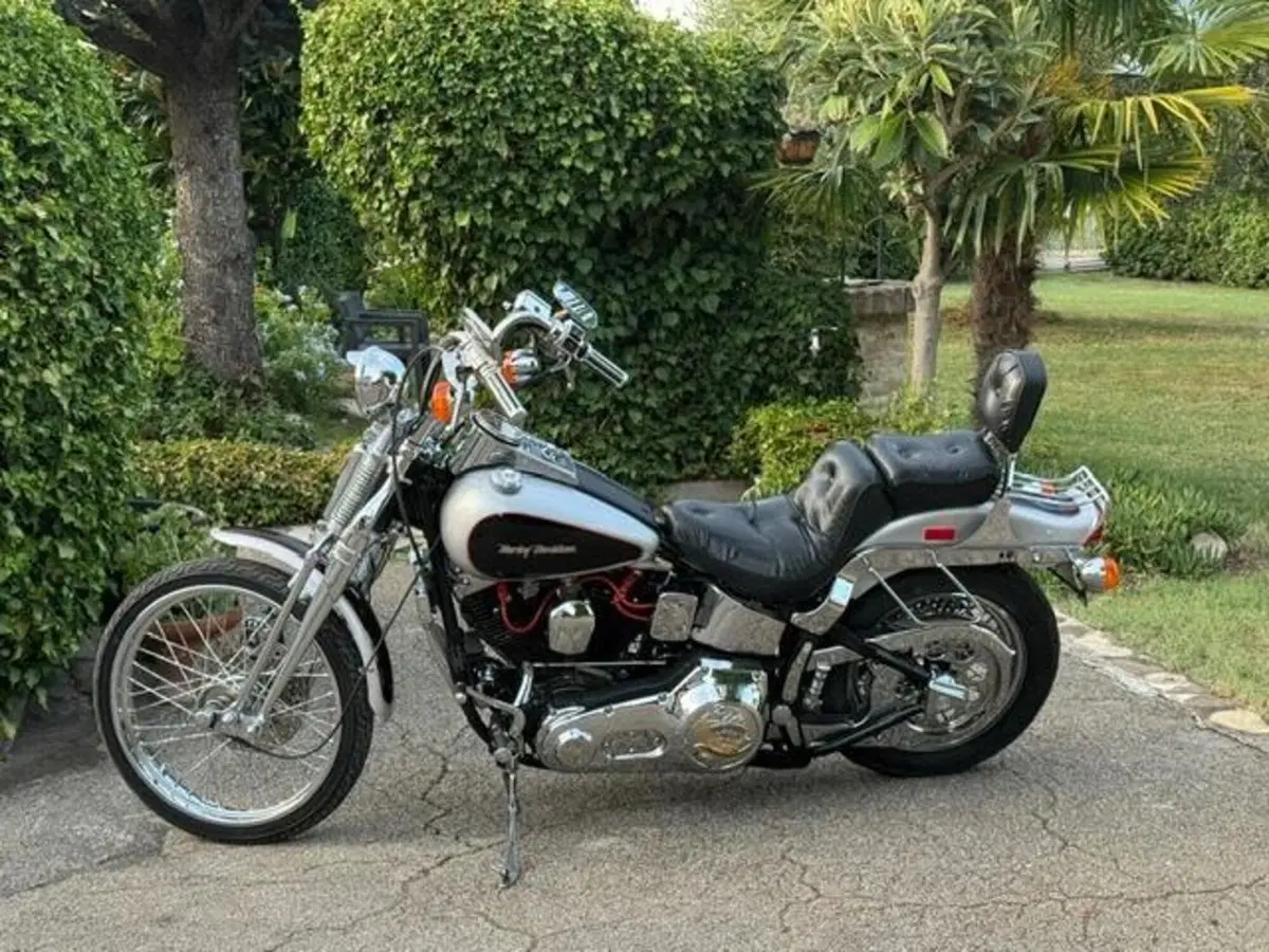 Harley-Davidson 1340 Springer (1990 - 98) - FXSTS (16)