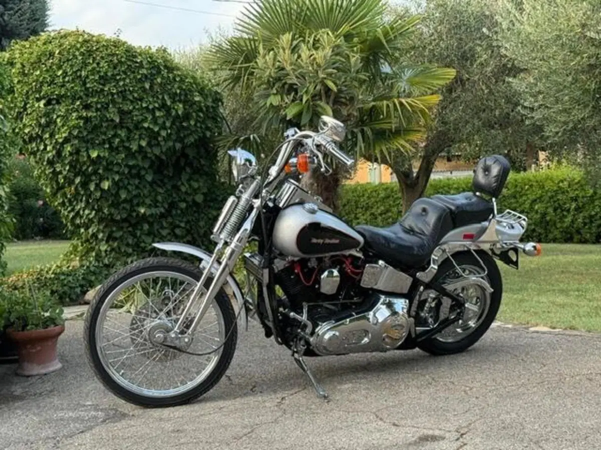 Harley-Davidson 1340 Springer (1990 - 98) - FXSTS (17)
