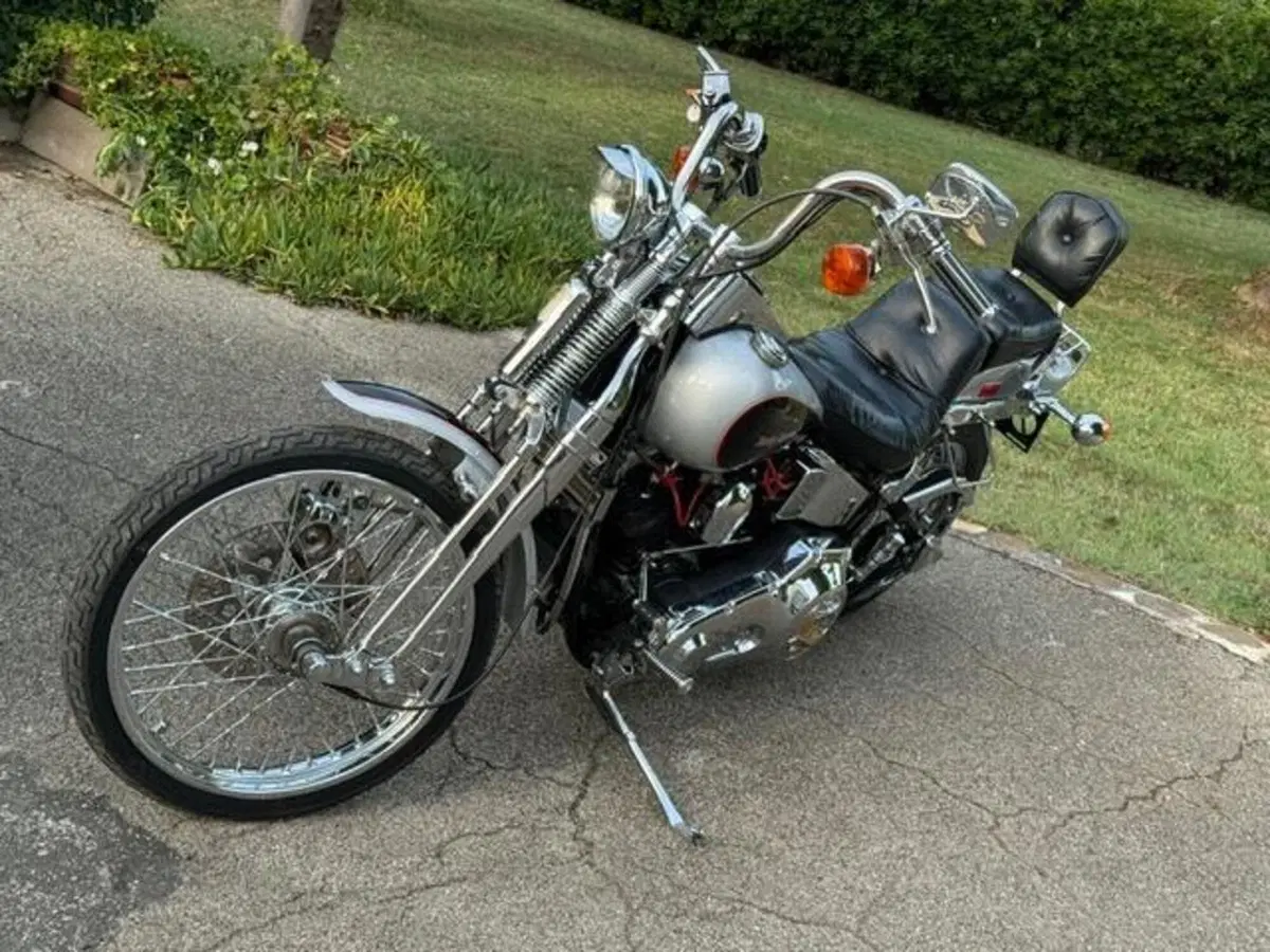 Harley-Davidson 1340 Springer (1990 - 98) - FXSTS (18)