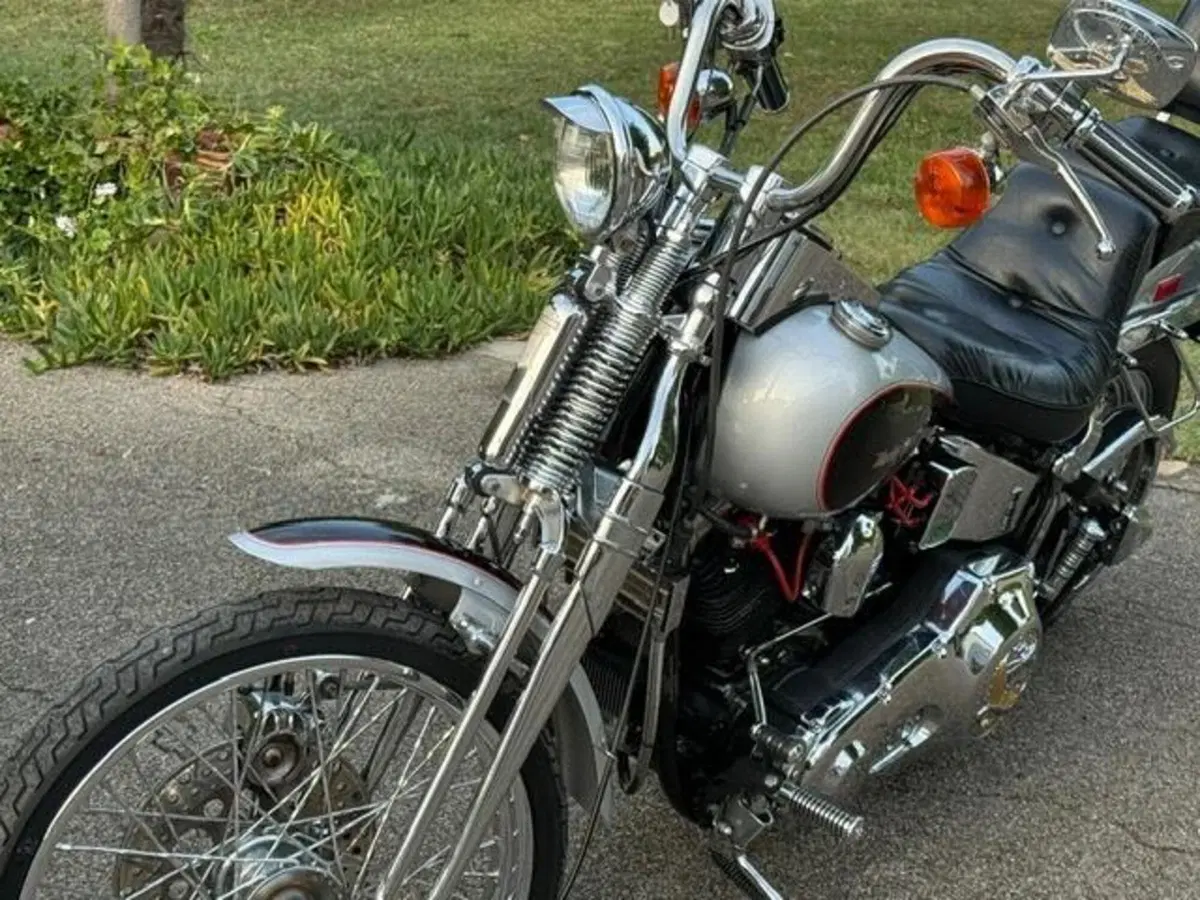 Harley-Davidson 1340 Springer (1990 - 98) - FXSTS (19)