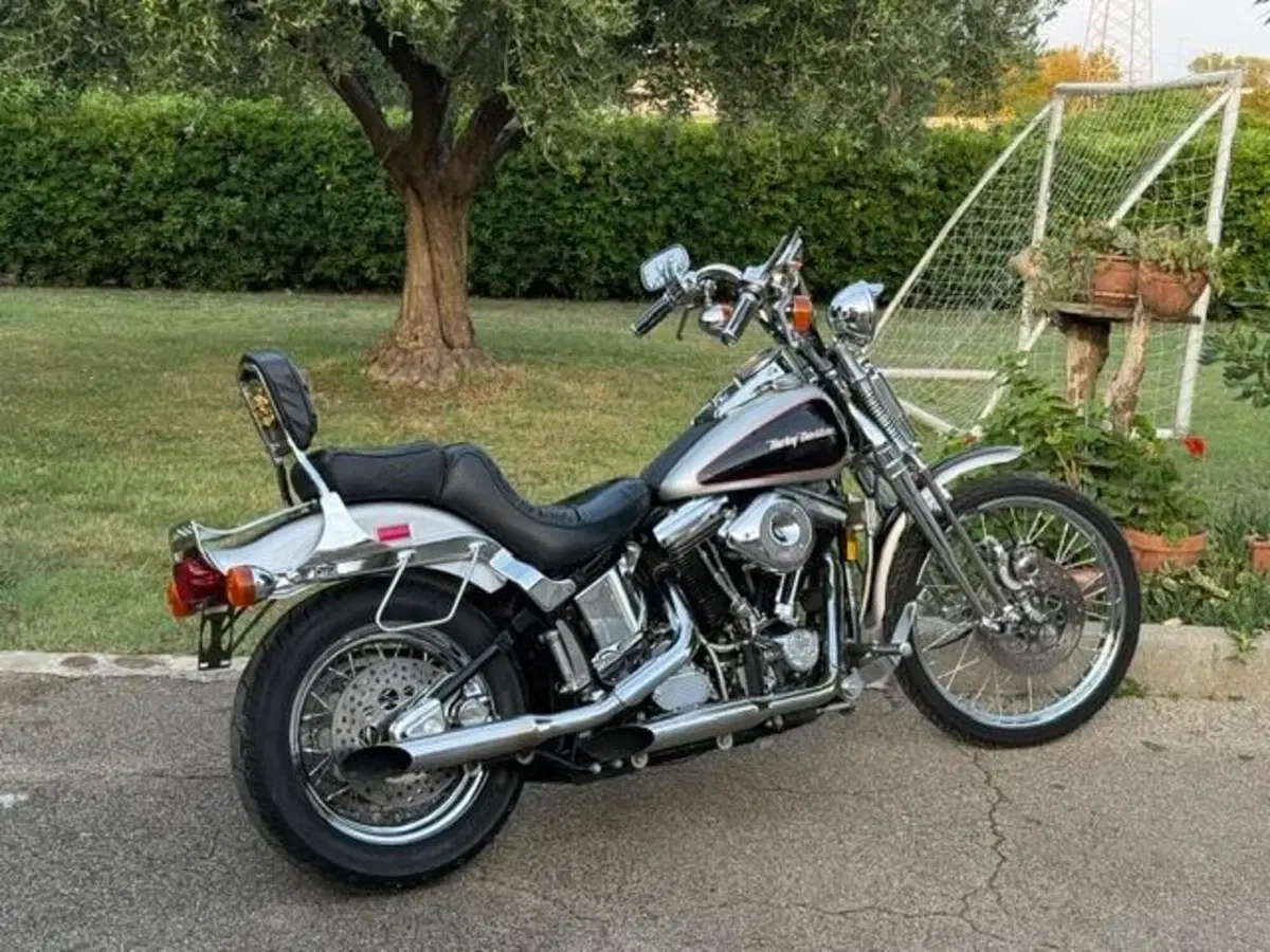 Harley-Davidson softail springer 1340 (9)