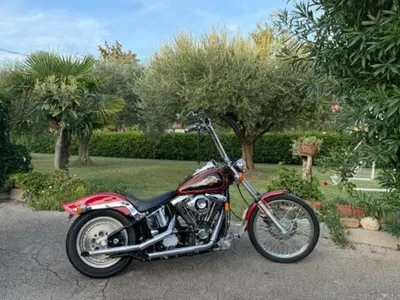 Harley-Davidson 1340 Custom (1989 - 98) usata