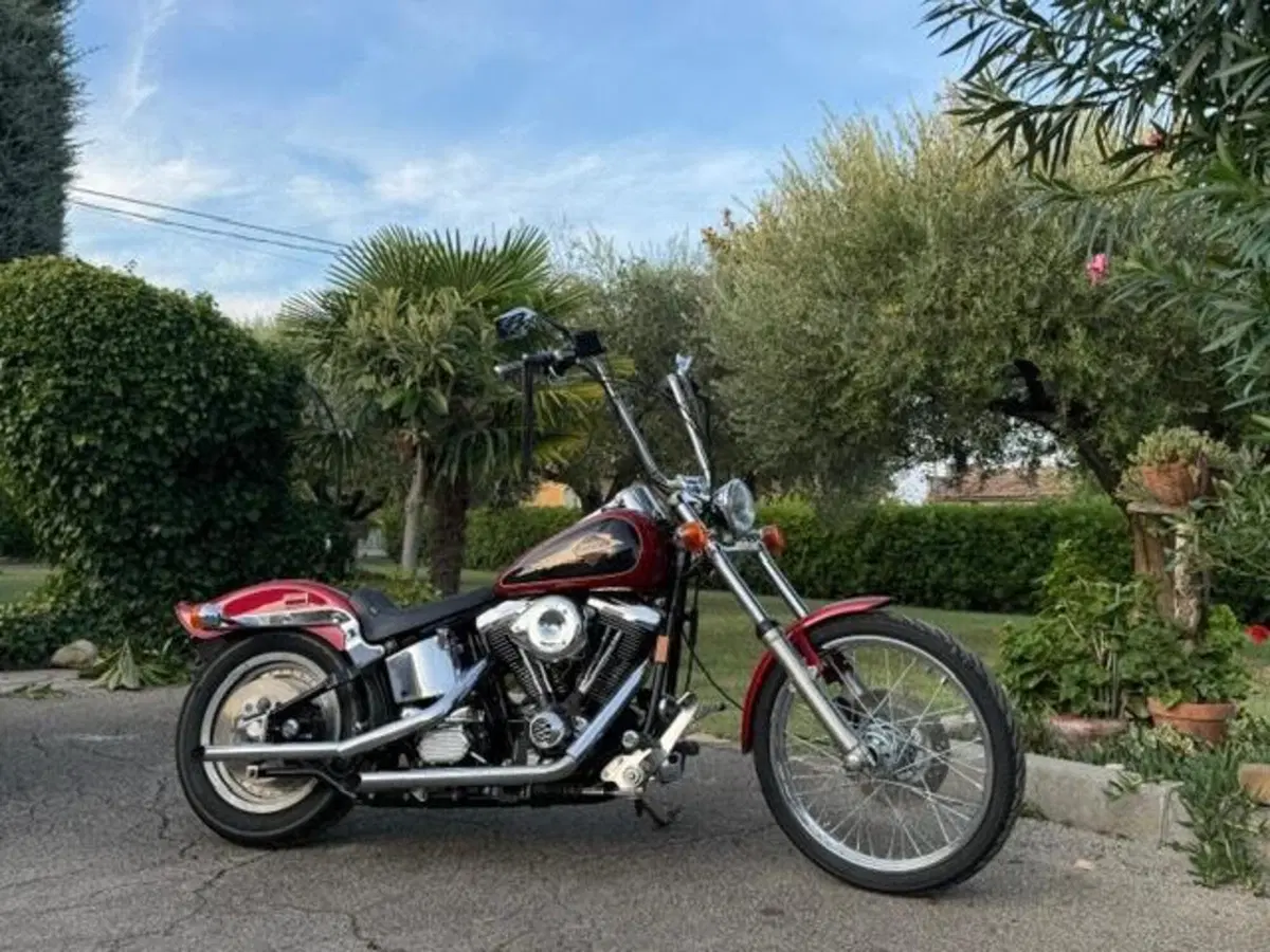 Harley-Davidson 1340 Custom (1989 - 98) (3)