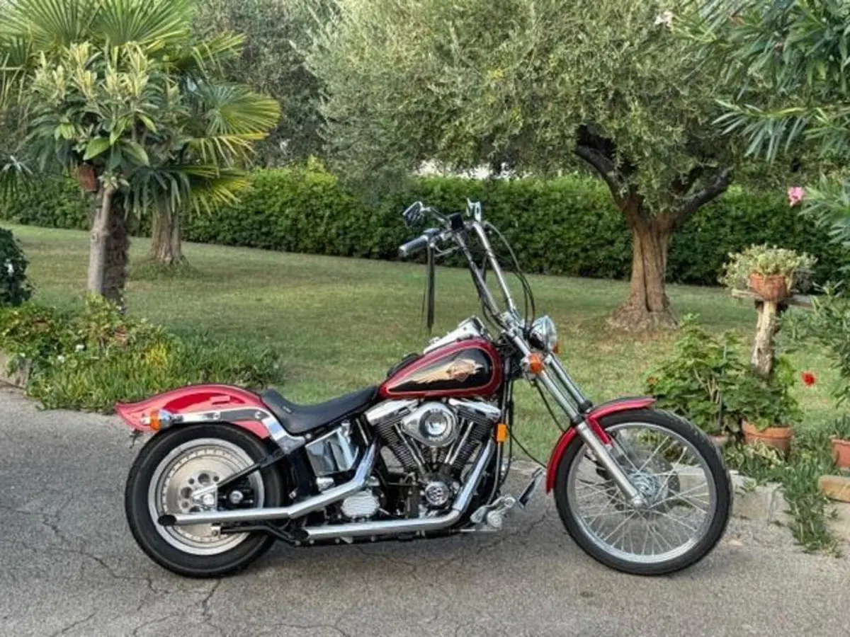 Harley-Davidson 1340 Custom (1989 - 98) (4)