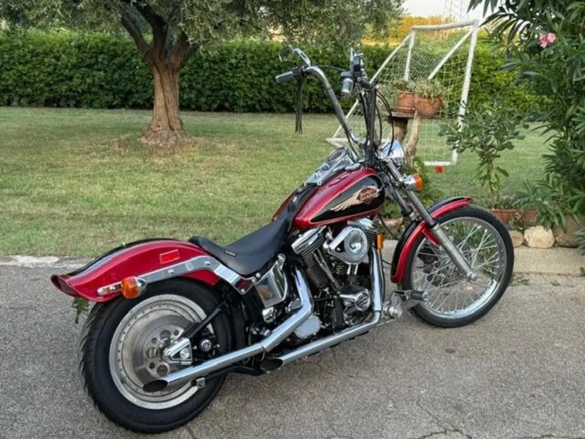 Harley-Davidson 1340 Custom (1989 - 98) (5)