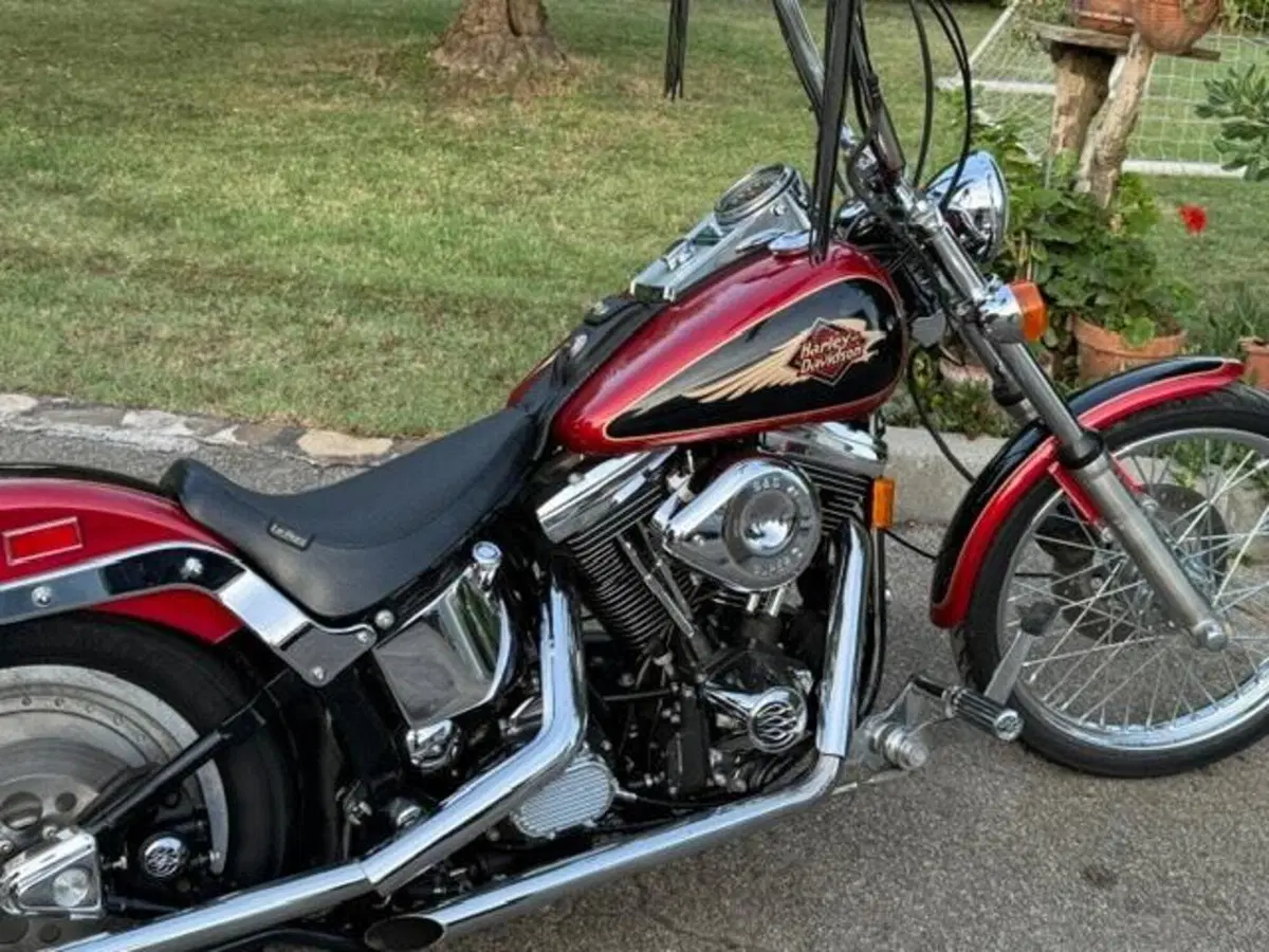 Harley-Davidson 1340 Custom (1989 - 98) (2)