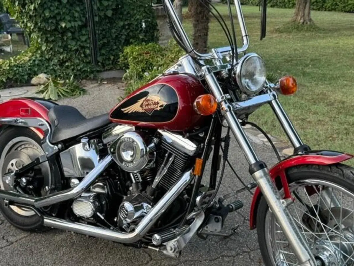 Harley-Davidson 1340 Custom (1989 - 98) (7)