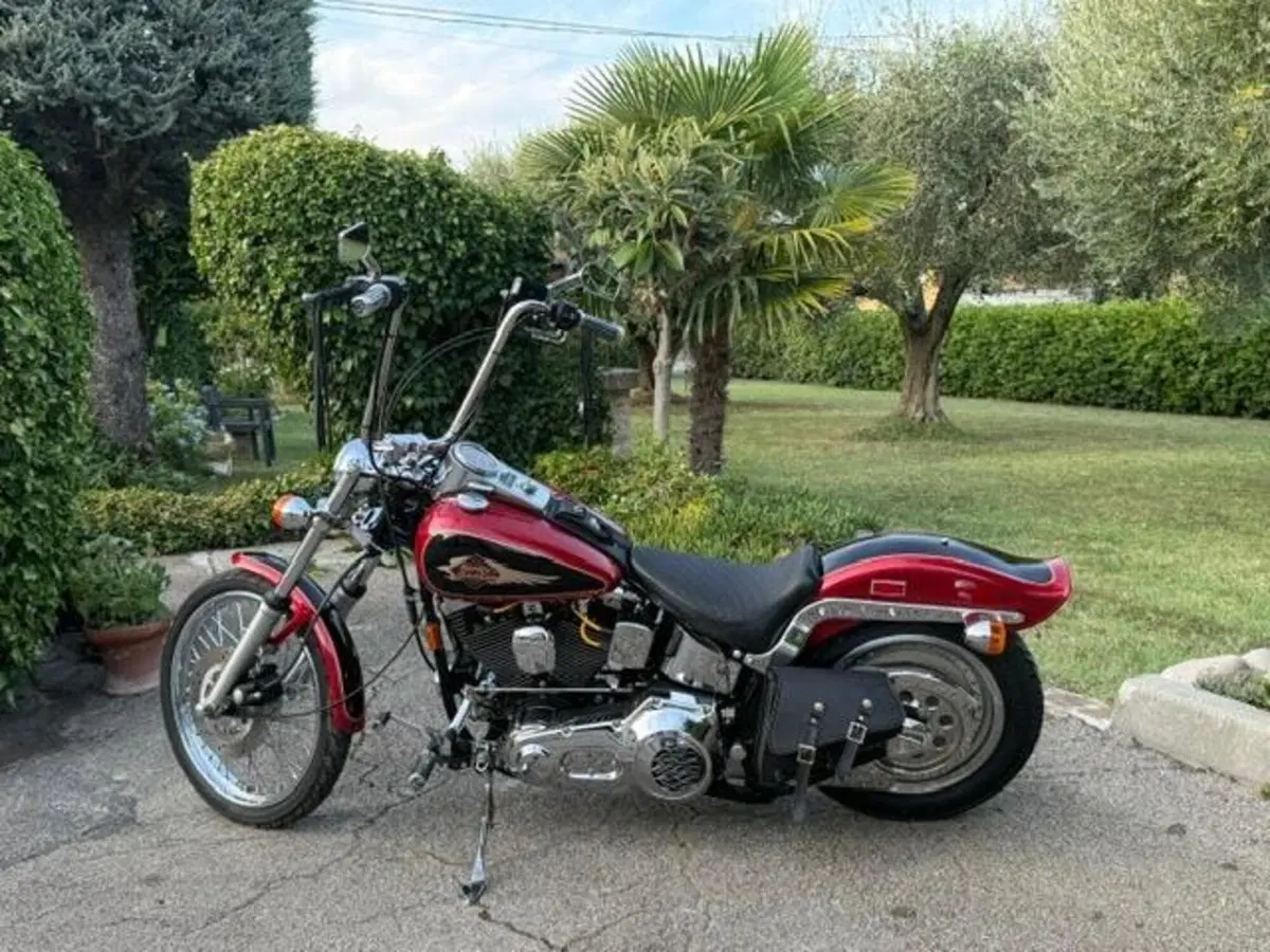 Harley-Davidson 1340 Custom (1989 - 98) (13)