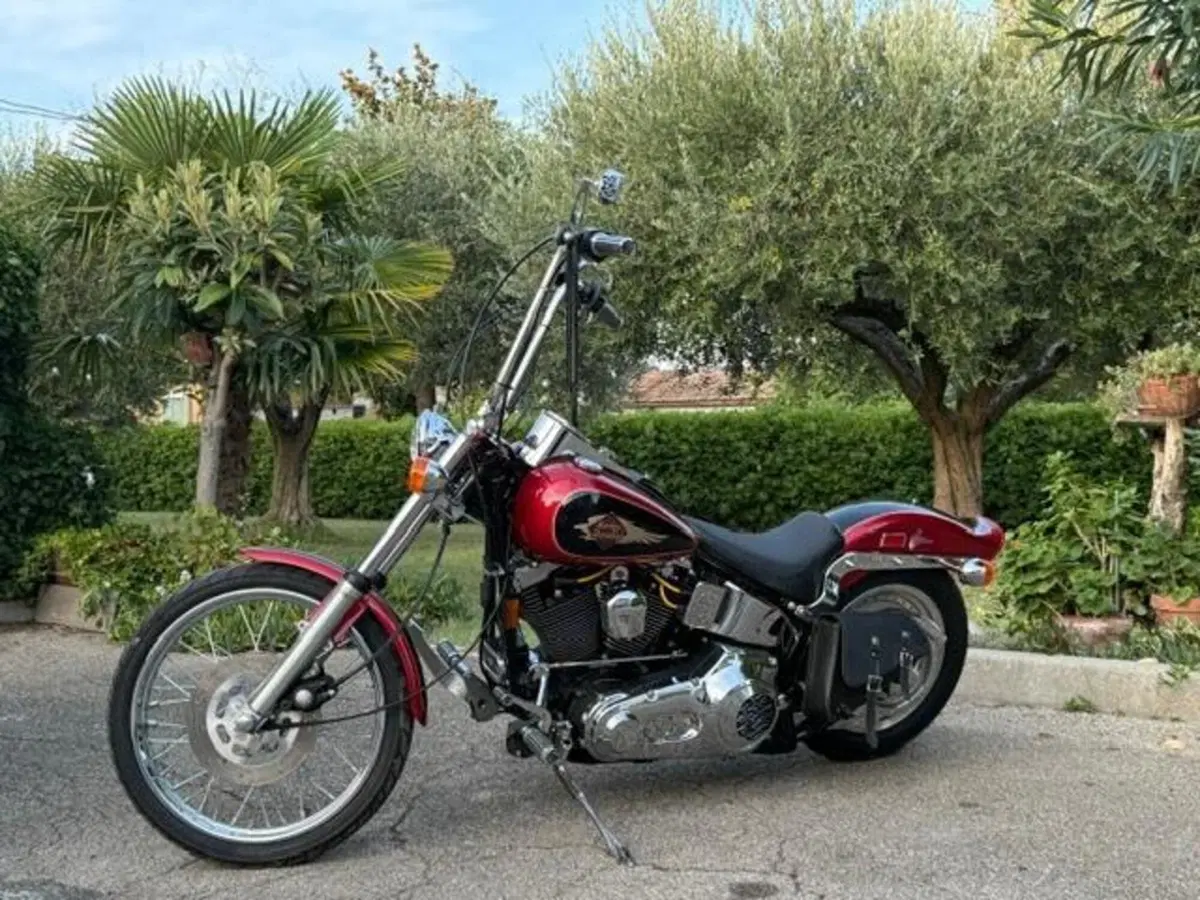 Harley-Davidson 1340 Custom (1989 - 98) (14)