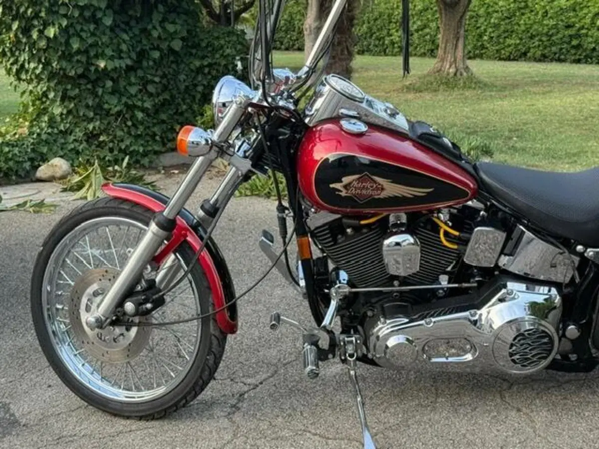 Harley-Davidson 1340 Custom (1989 - 98) (15)