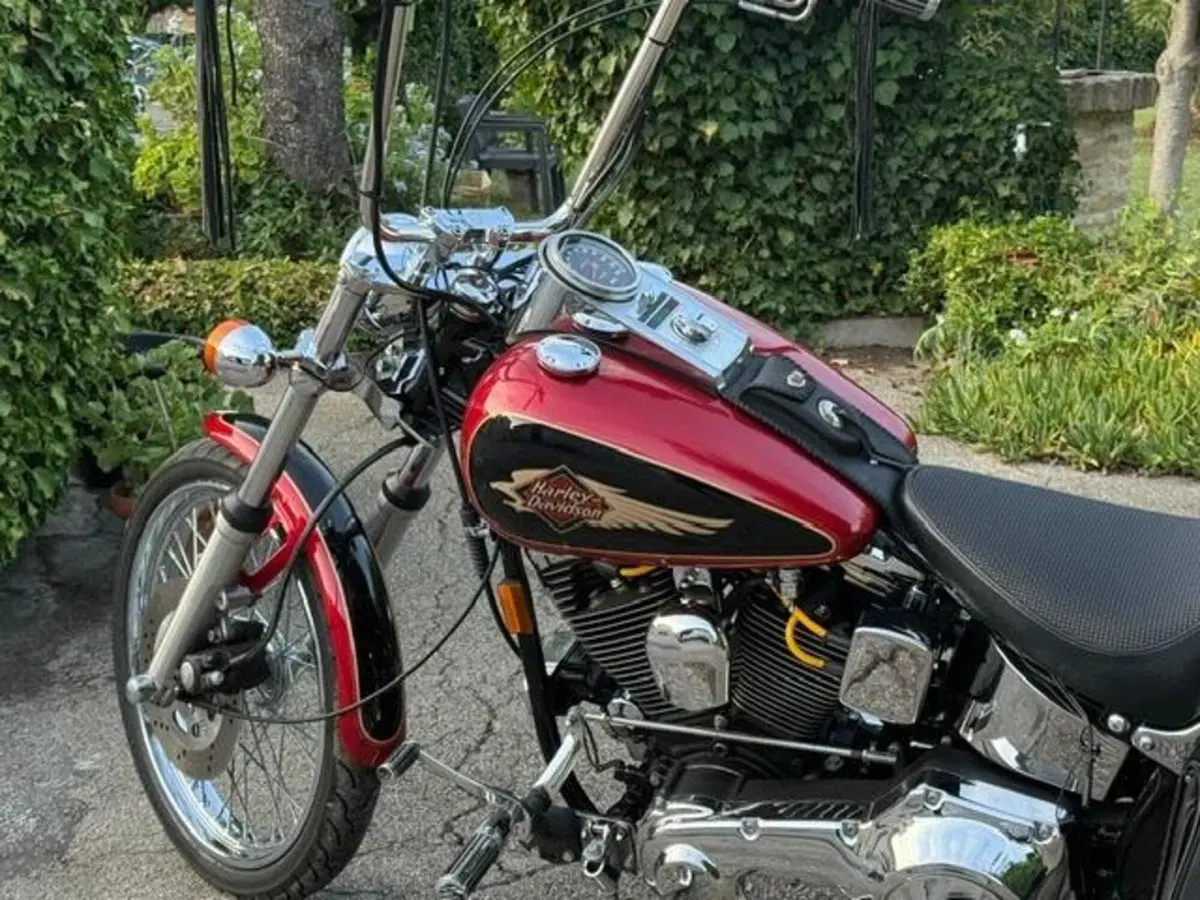 Harley-Davidson 1340 Custom (1989 - 98) (17)