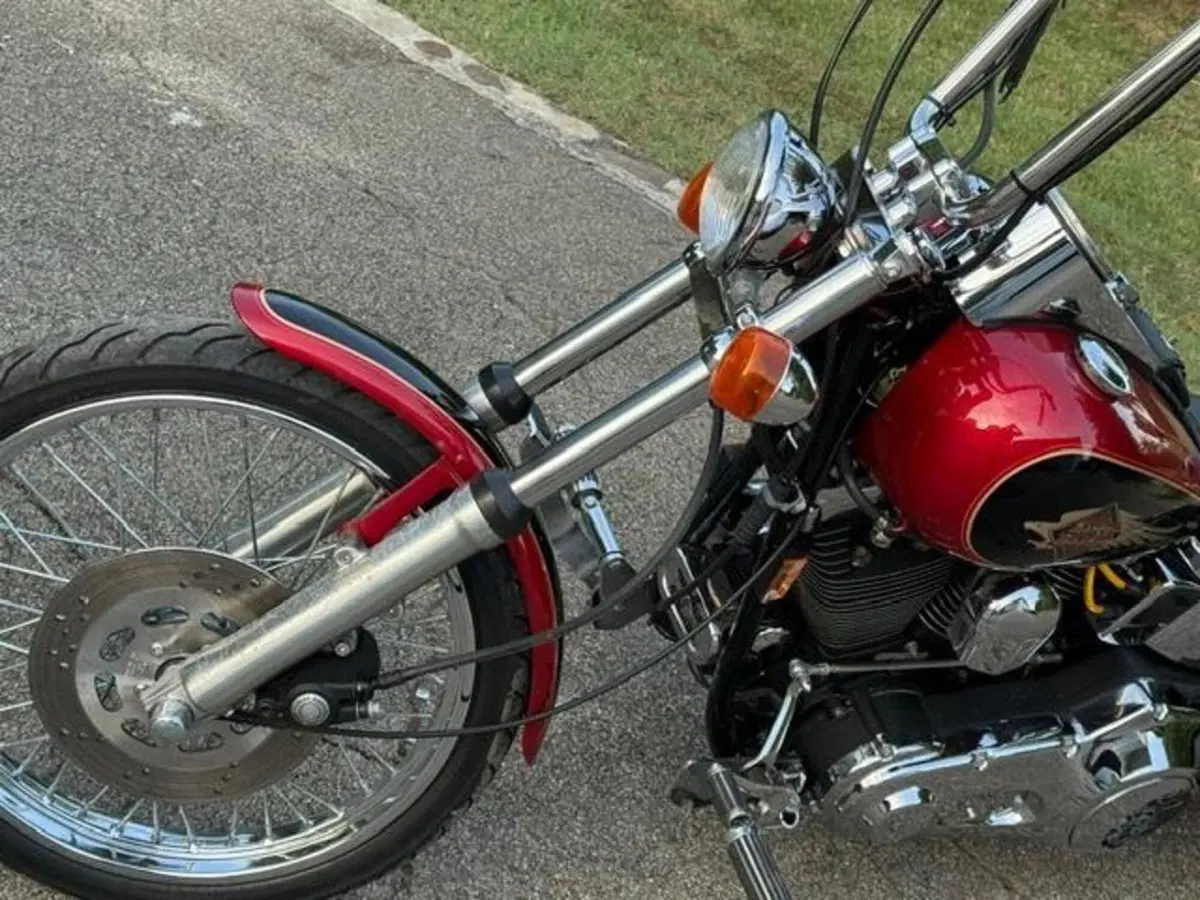 Harley-Davidson 1340 Custom (1989 - 98) (18)
