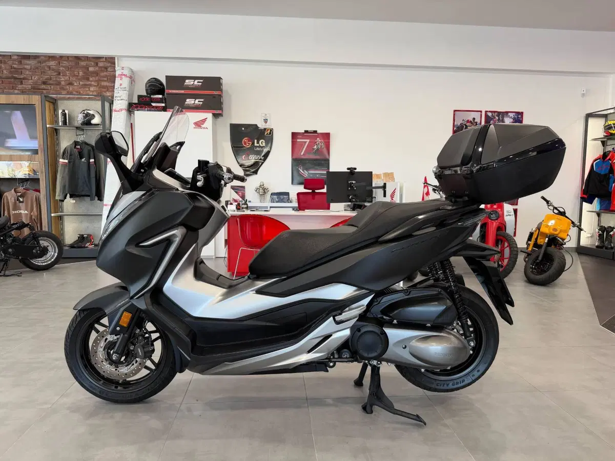 Honda Forza 300 Deluxe ABS (2018 - 20) (3)