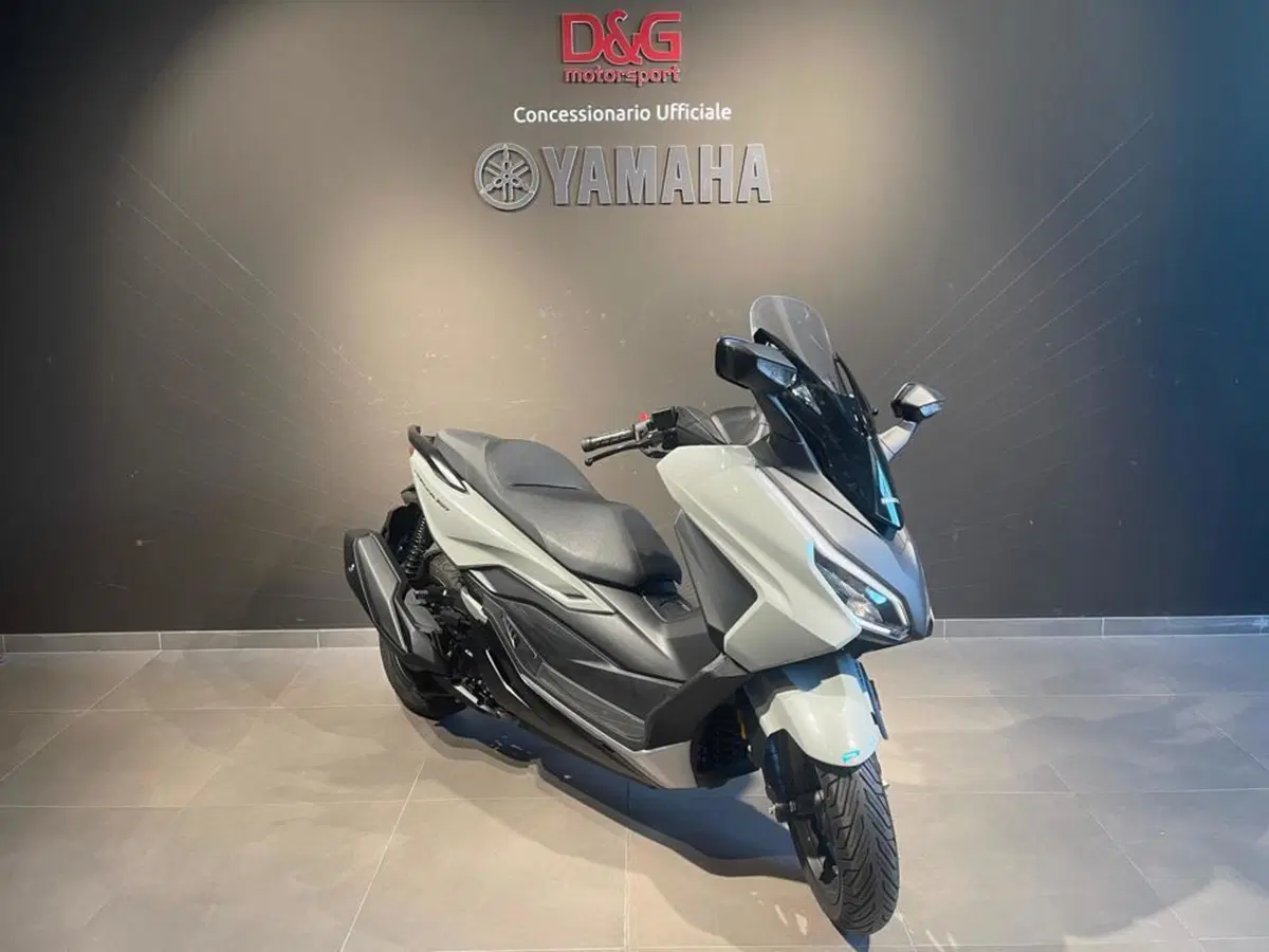 Honda Forza 350 Deluxe (2022 - 24) (2)
